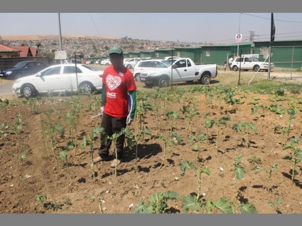Setswetla village caretaker Welcome Mahlalela at the village garden.